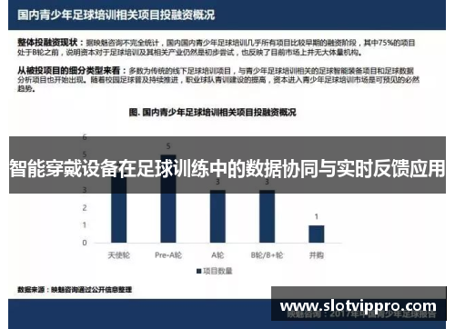 智能穿戴设备在足球训练中的数据协同与实时反馈应用